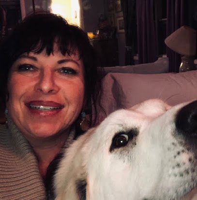 Dog day care in Victor Idaho Doggieland 1