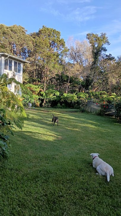 Dog day care in Volcano Hawaii Camppup pawz pals 1