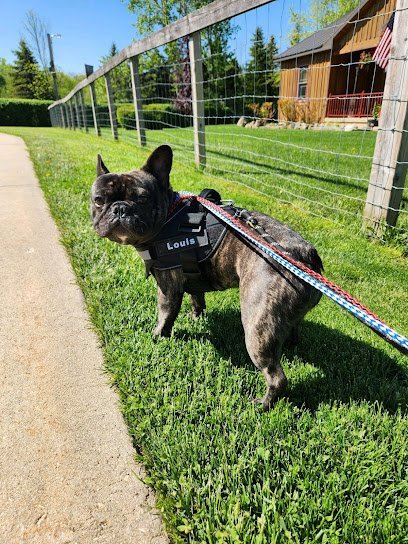 Dog day care in Wadsworth Illinois Tracy s Doggone Farm 1