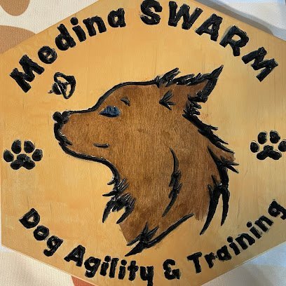 Dog day care in Wadsworth Ohio Medina Swarm Agility and Dog Training 1
