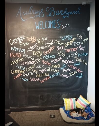 Dog day care in Wake Forest North Carolina Audrey s Barkyard 1