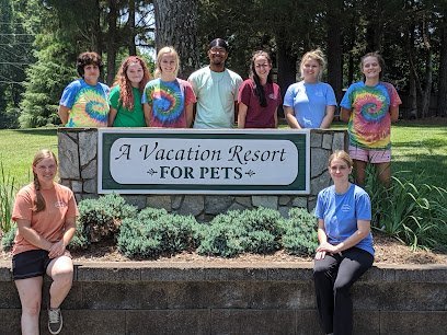 Dog day care in Wake Forest North Carolina Cobble Hill Bed Biscuit Inc 1