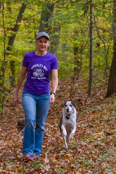 Dog day care in Walkersville Maryland Snorkle s Way Adaptive Dog Training 1