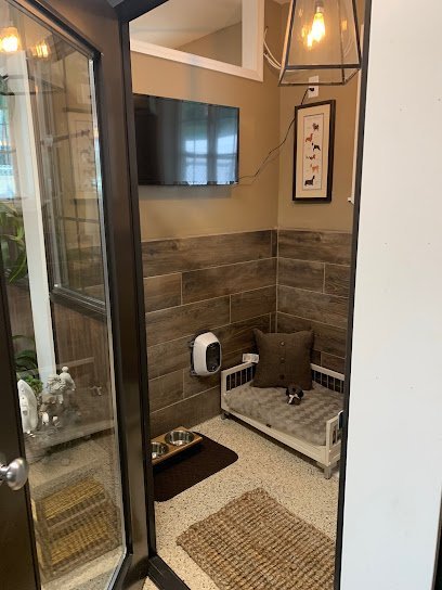 Dog day care in Wallkill New York The Woodlands Luxury Pet Resort Spa 1