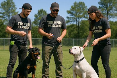 Dog day care in Wapakoneta Ohio Ton of Fun K9 Academy 1