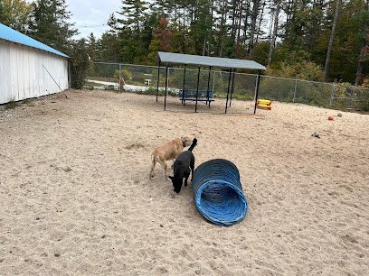 Dog day care in Warner New Hampshire Woodlawn Pet Resort LLC 1