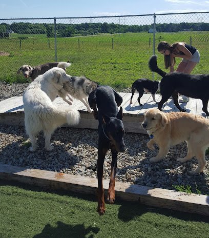 Dog day care in Warren Ohio Broadview Acres Resort 1