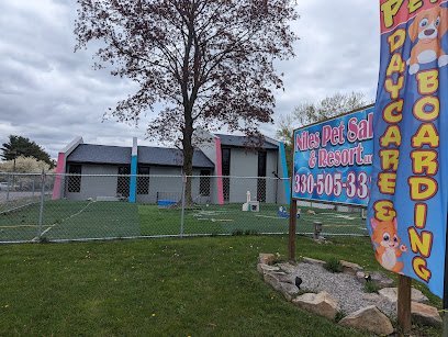 Dog day care in Warren Ohio Niles Pet Salon Resort llc 1
