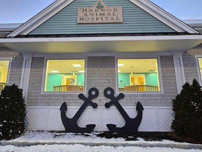 Dog day care in Warren Rhode Island Harbor Animal Hospital 1