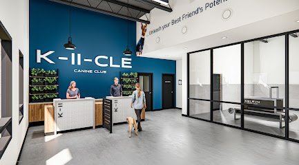 Dog day care in Warrensville Heights Ohio K 11 Canine Care 1