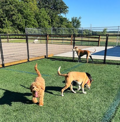 Dog day care in Waseca Minnesota Playful Paws Kennel 1