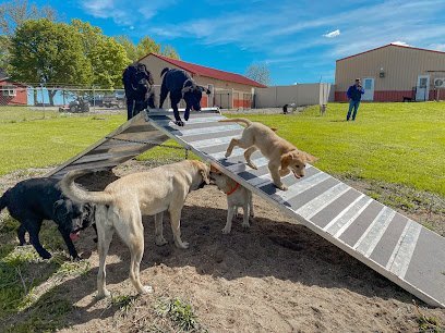Dog day care in Waverly Iowa Rock River Pet Resort 1