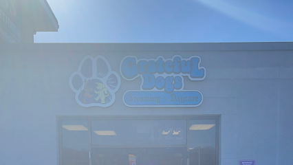 Dog day care in Wayne New Jersey Grateful Dogs Grooming Daycare 1