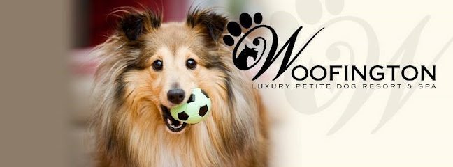 Dog day care in Wayzata Minnesota Woofington  Luxury Boarding Grooming 1