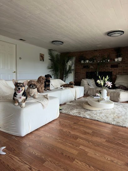 Dog day care in West Chester Pennsylvania The Pup Club 1