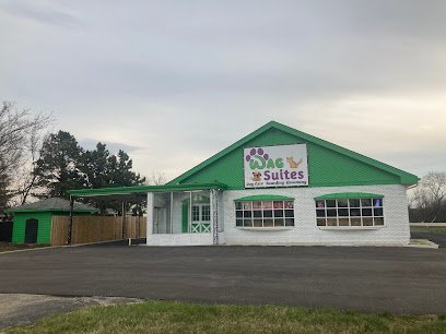 Dog day care in West Chicago Illinois Wag Suites 1