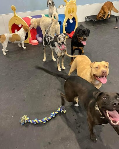 Dog day care in West Monroe Louisiana Bed Biscuits Inn LLC 1