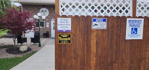 Dog day care in West Seneca New York Molly s Mutts Doggie Daycare 1