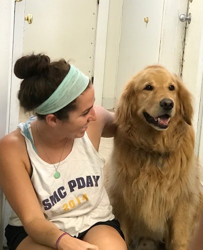 Dog day care in Westborough Massachusetts Wagtime 1