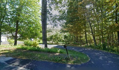 Dog day care in Westhampton Massachusetts Button Meadow Dog Camp 1