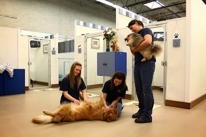 Dog day care in Westlake Ohio INN to PETS 1