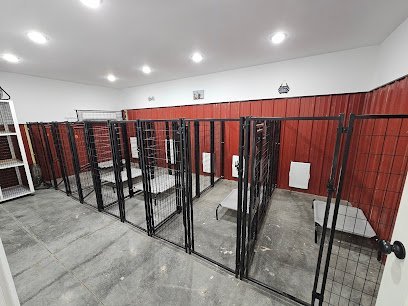 Dog day care in Westmoreland Tennessee Whit s Resort for Dogs 1