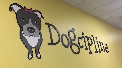 Dog day care in Whitestone New York Dogcipline Inc  1