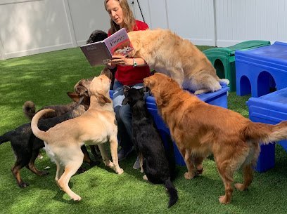 Dog day care in Whitinsville Massachusetts The Valley Pet Resort and Spa 1