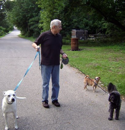 Dog day care in Whitmore Lake Michigan Furry Friend Vacations 1