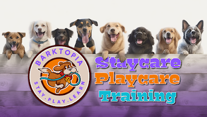 Dog day care in Wichita Kansas Barktopia 1