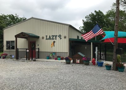Dog day care in Wichita Kansas Lazy P Pet Ranch 1