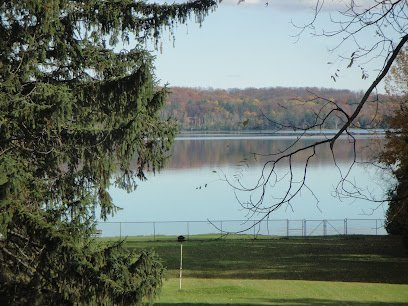 Dog day care in Williamsburg Michigan Bokhara Kennels Traverse City Area 1