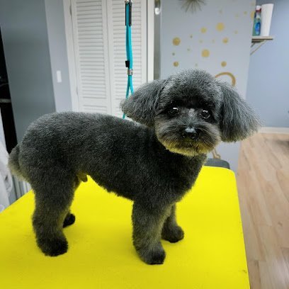 Dog day care in Williamsville New York Smooches For Pooches 1