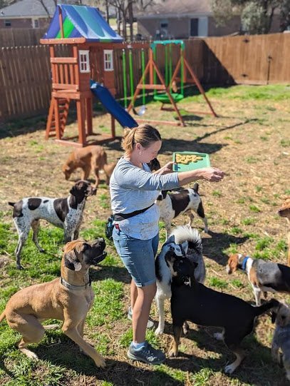 Dog day care in Willis Texas Dog Dash 1