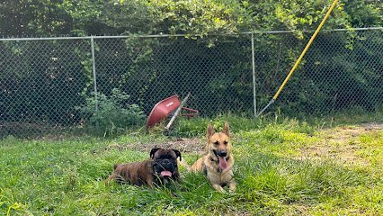 Dog day care in Willis Texas Happy Pets Playland LLC 1