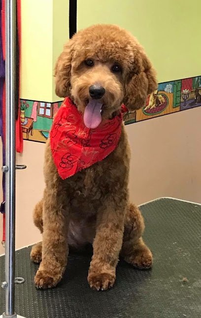 Dog day care in Wilmington Illinois Dog Days Inn Pet Resort 1