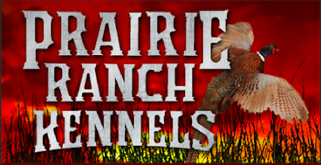 Dog day care in Winona Minnesota Prairie Ranch Kennels 1