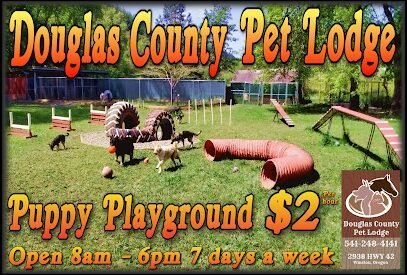 Dog day care in Winston Oregon Douglas County Pet Lodge 1