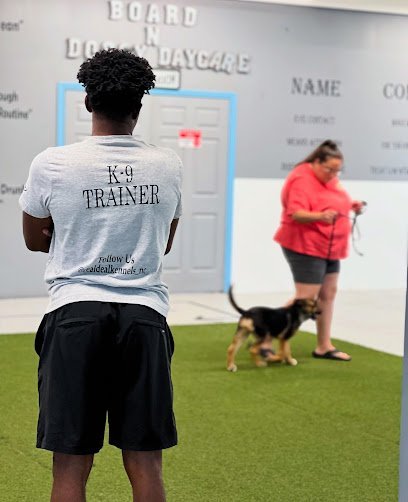 Dog day care in Winston Salem North Carolina Real Deal Kennels K9 Training 1