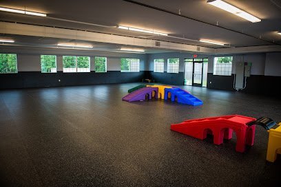 Dog day care in Woodbury Minnesota Paws Unleashed 1