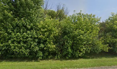 Dog day care in Woodstock Illinois The Master Suite 1