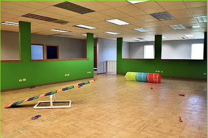 Dog day care in Woodstock Illinois Woodstock Canine Clubhouse 1