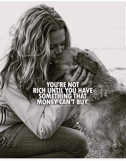 Dog day care in Worthington Ohio Preppy Pet Worthington 1