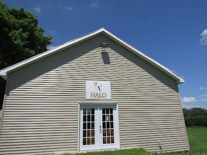 Dog day care in Xenia Ohio Halo K9 Behavior Consultation 1