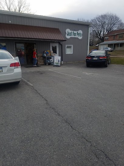 Dog day care in York Pennsylvania Just For Pets 1