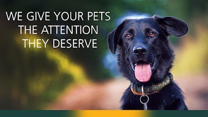 Dog day care in Yorkville Illinois Country Comfort Boarding Grooming 1