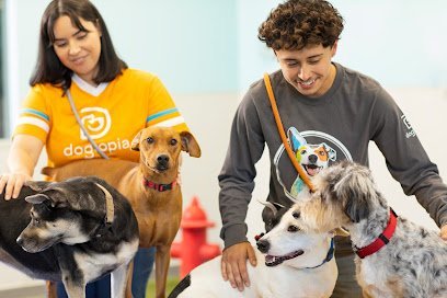 Dog day care in Ypsilanti Michigan Dogtopia of South Ann Arbor 1