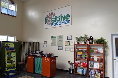 Dog day care in Algona Washington Positive Pooches 1