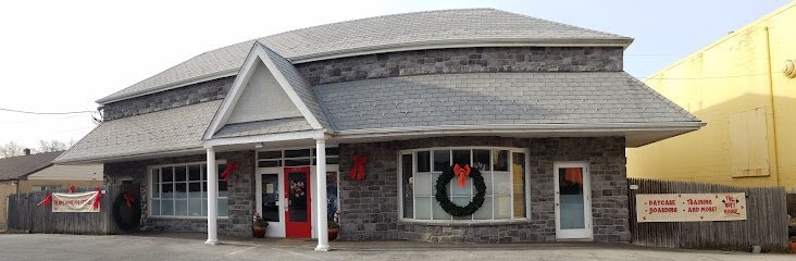 Dog day care in Ardmore Pennsylvania The Ruff House Dog Center Ltd  1