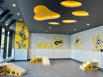 Dog day care in Arlington Virginia District Dogs National Landing 1